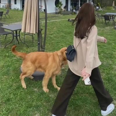 奉旨杀人